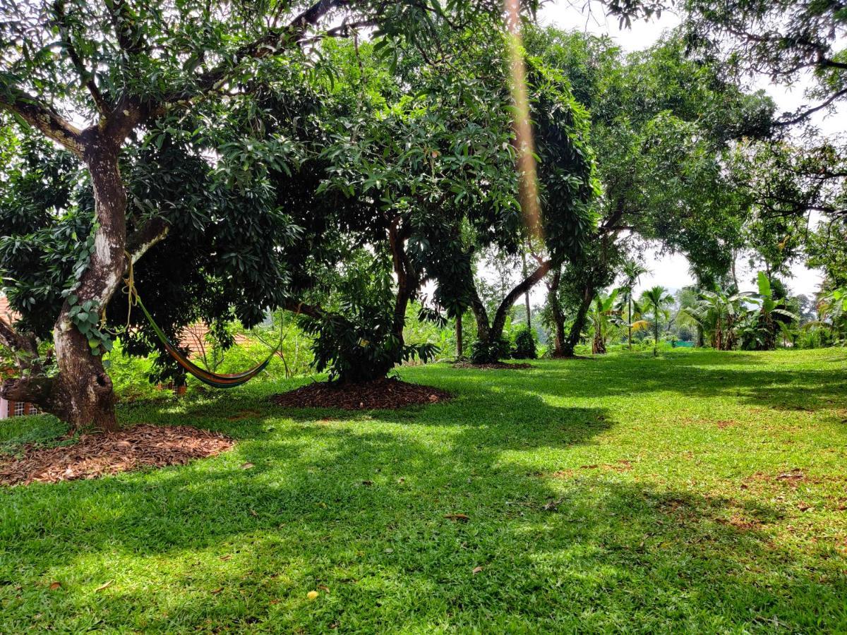 Carmel Tourism Village Kotamangalam Luaran gambar