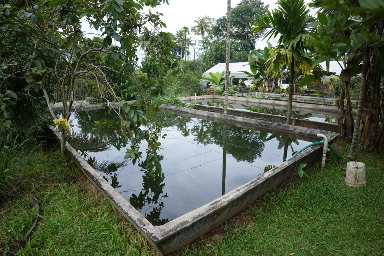 Carmel Tourism Village Kotamangalam Luaran gambar