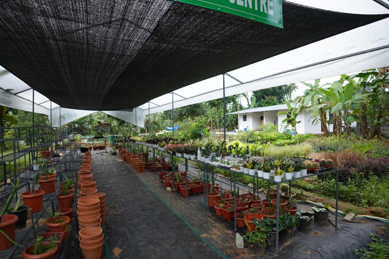 Carmel Tourism Village Kotamangalam Luaran gambar